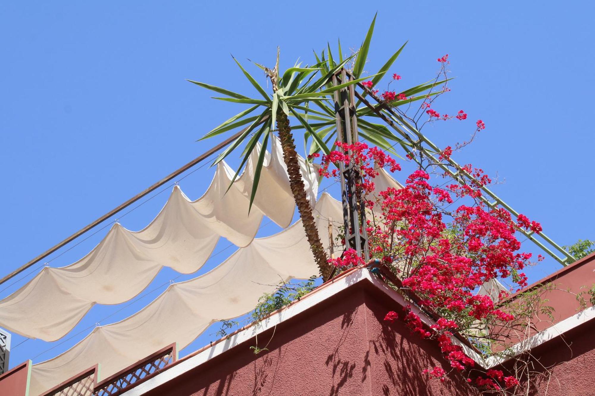 Riad Celia Μαρακές Εξωτερικό φωτογραφία