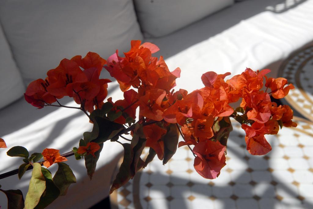 Riad Celia Μαρακές Εξωτερικό φωτογραφία